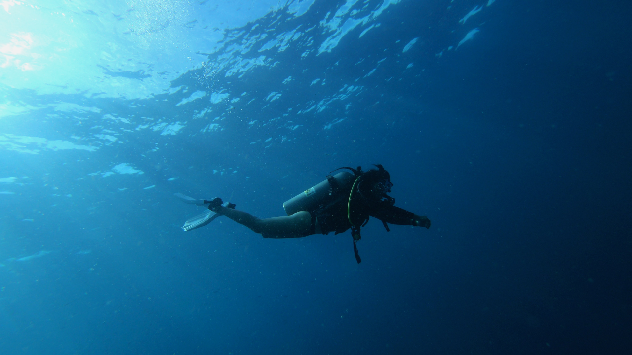 diver underwater